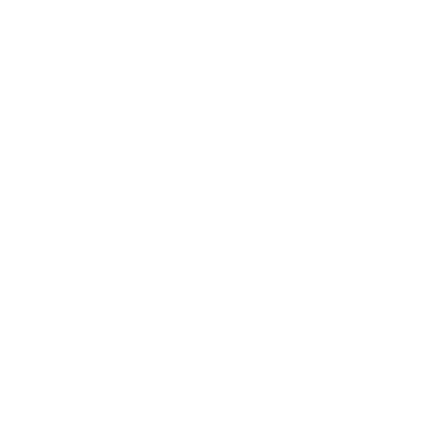 standard paving white logo