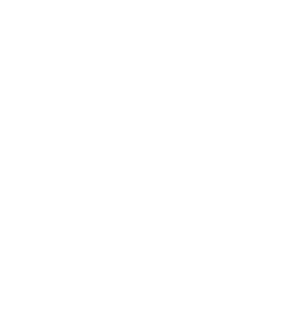 standard paving white logo